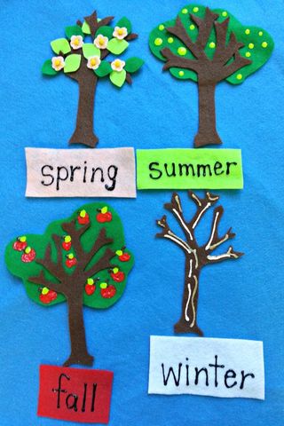 Apples Through the Seasons