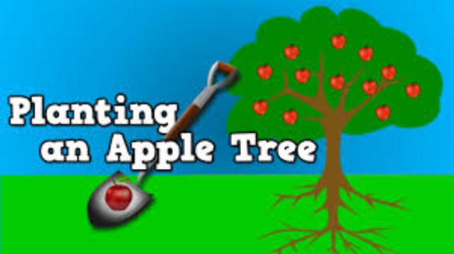 Planting Apple Trees