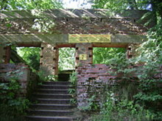 Se comienza a gestar el movimiento