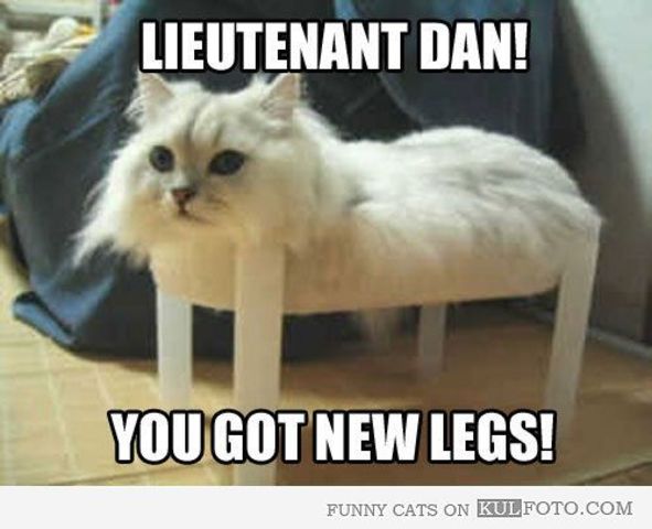 first cat with no legs on mainstream cinema