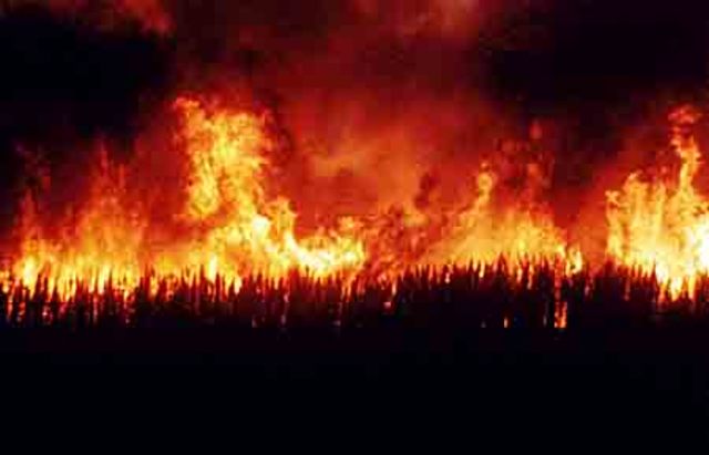 Incêndios de bancas de revistas SP e MG