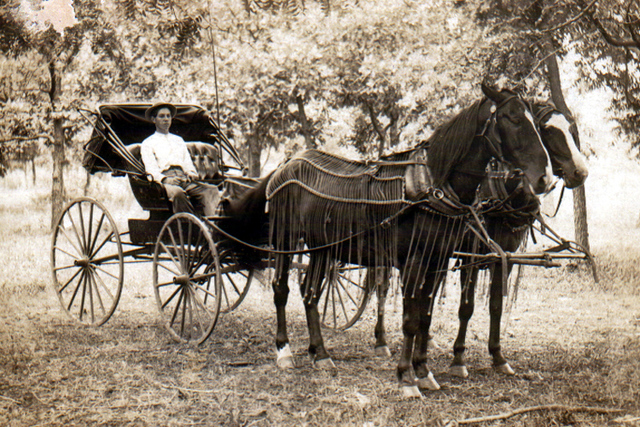 First horse and buggy invened