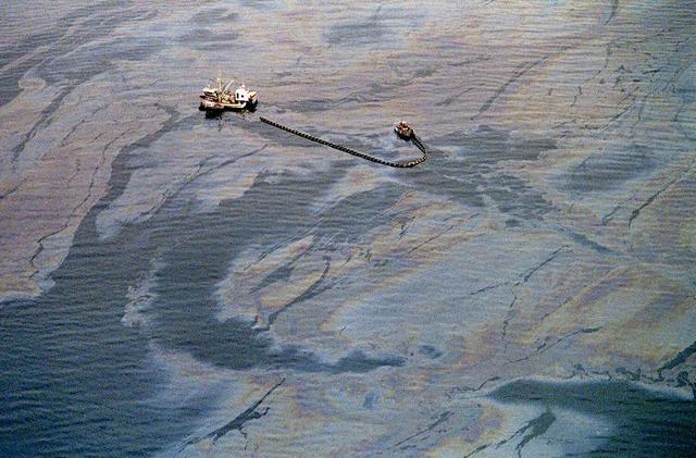 Exxon Valdez Oil Spill