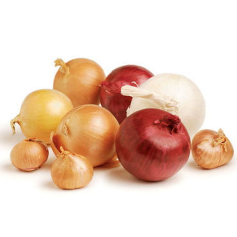 Bottulism; Peoria, Illnois 1983