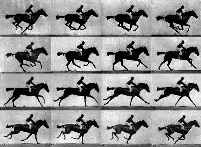 Leeland Stanford's bet