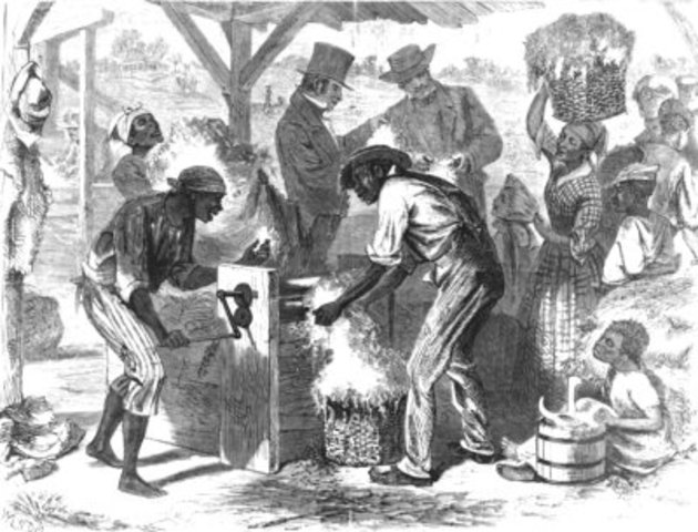 Invention of cotton gin