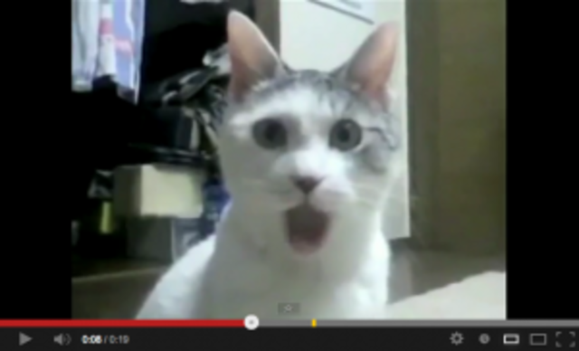 The World Wide Web is created