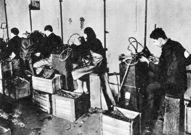 Jews were assigned jobs