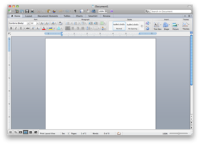 Microsoft Word