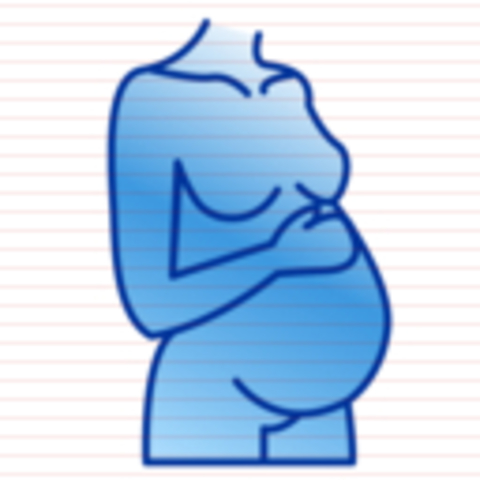 Zelda becaomes pregnant