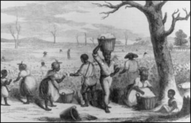 Invention of the Cotton Gin
