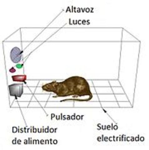 CONDICIONAMIENTO OPERANTE