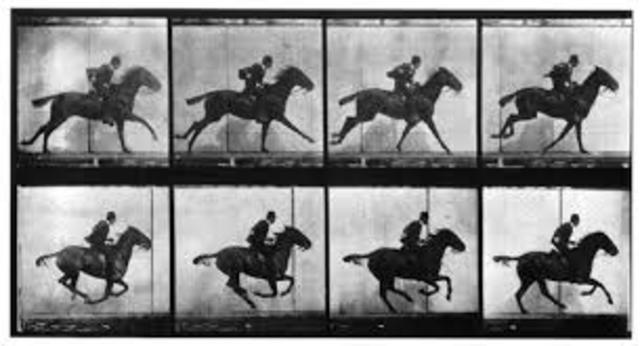 Leland Stanford’s Bet