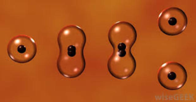 1855, Rudolf Virchow