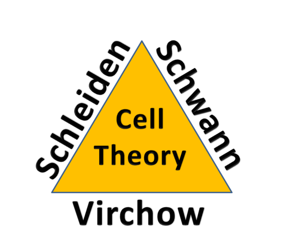 cell theory