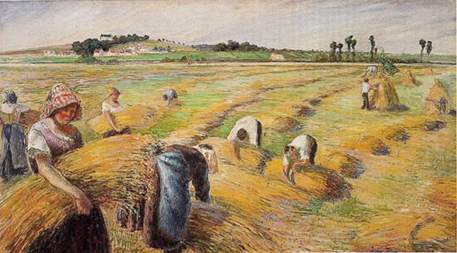 ECONOMÍA (Comercio y agricultura)