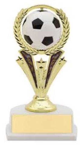 Won first pace at a soccer tourney