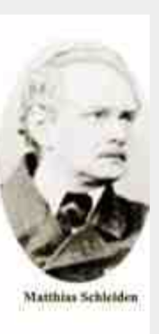 Matthias Schleiden