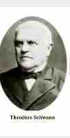Theodor Schwann