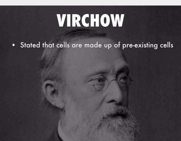 Rudolph Virchow