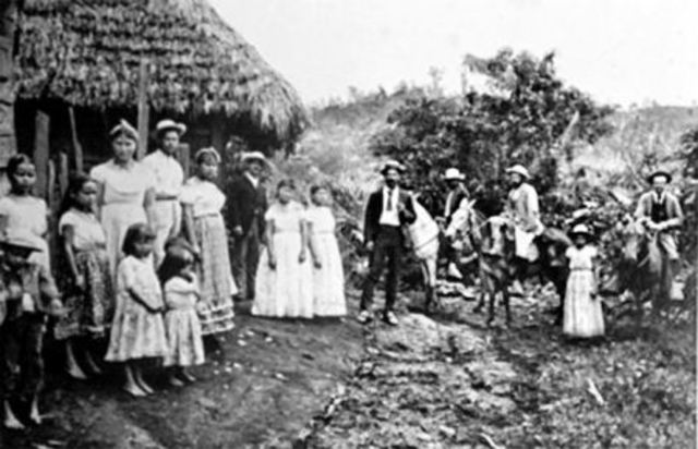 Expansión Agropecuaria