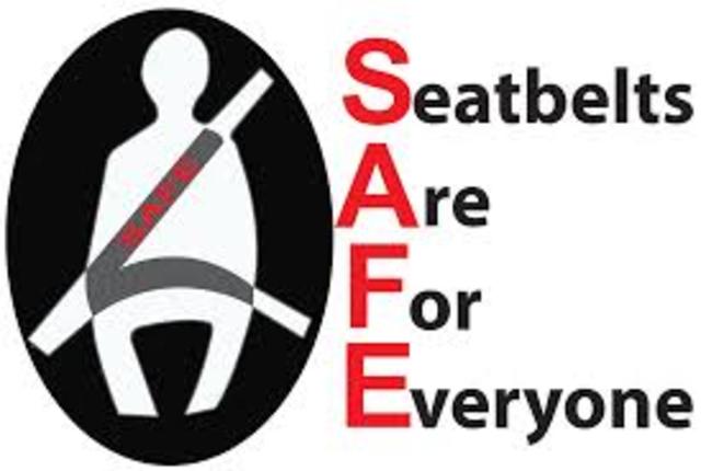 Seat Belts