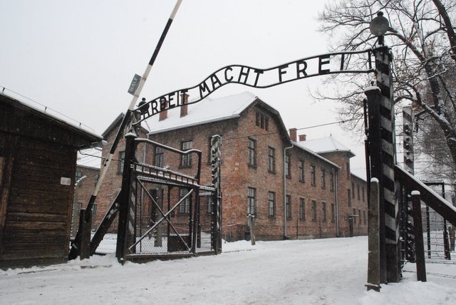 Vladek gets Sent to Auschwitz
