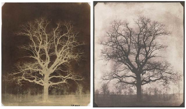 Calotype