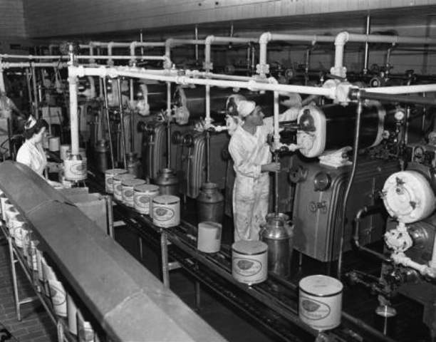 First Large-Scale Icecream Plant