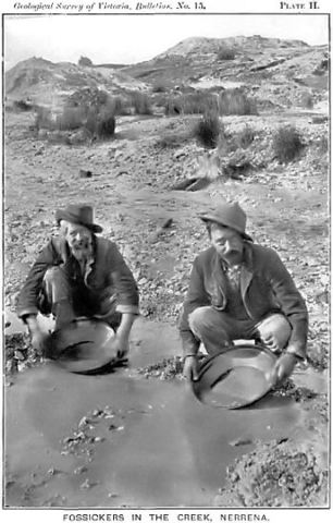 The California Gold Rush Ends