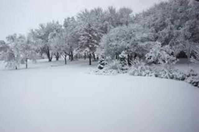 Barly surviving the winter