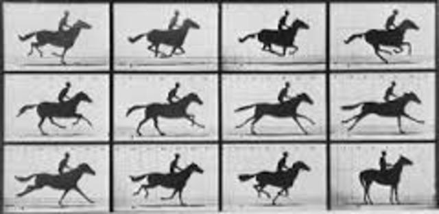 Leland Stanford's Bet