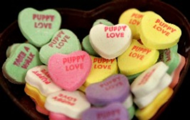 valentines chocolete