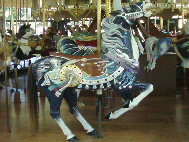 Sees and rides merry go round