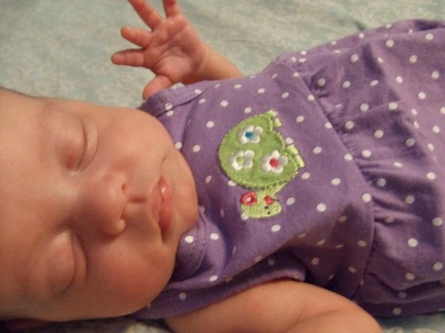 Little Penny is Born