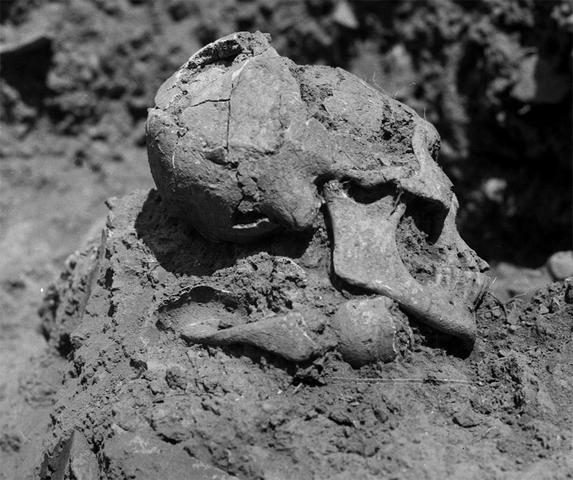 Mayan population begins to decrease