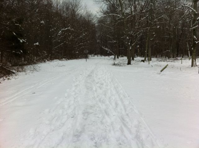 Wiesel Evacuates Auschwitz