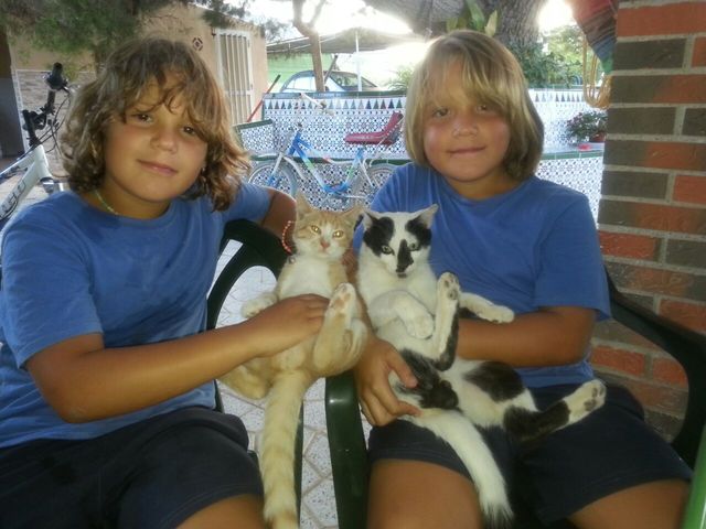 CON LOS GATO