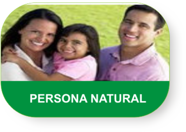 PERSONA FISICA O NATURAL