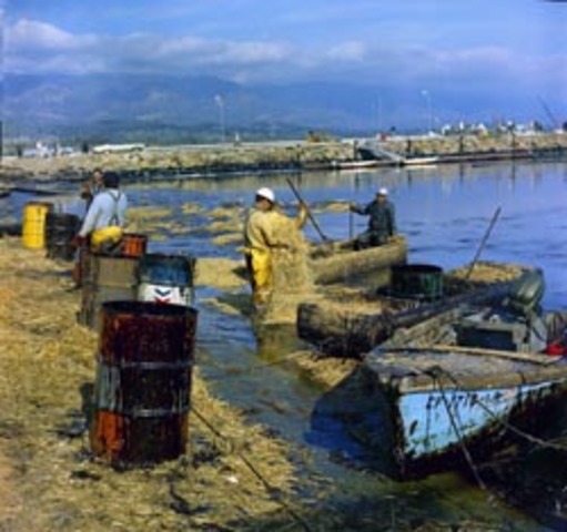 Santa Barbara: 4.2 Million Gallon Spilled.