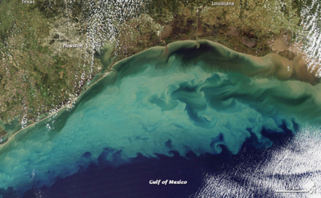 Gulf of Mexico Dead Zone