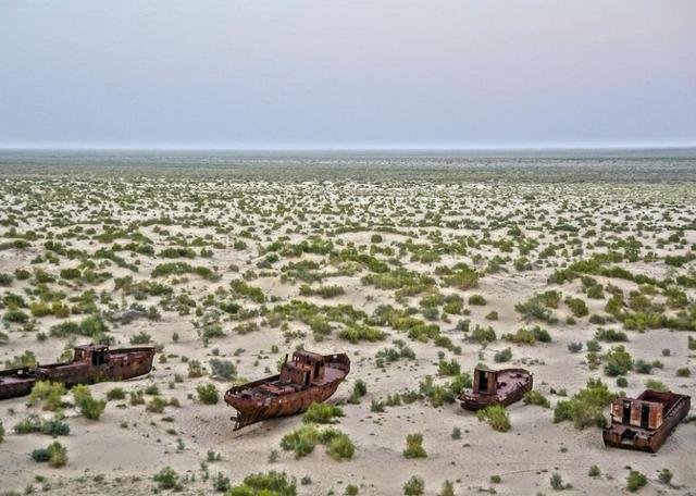The Shrinking of the Aral Sea