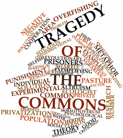 Tragedy of the Commons