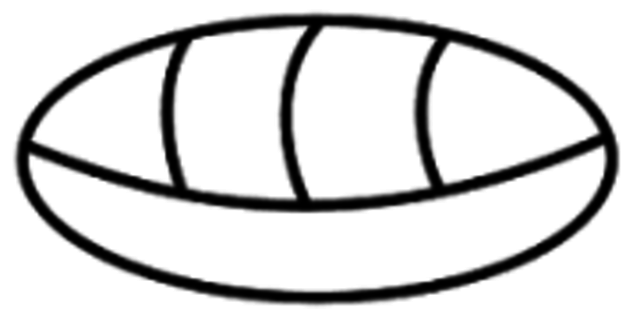 Uso del 0 por los mayas.