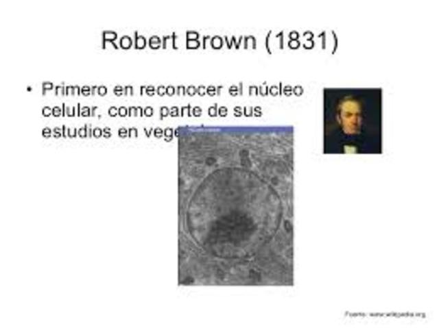 Robert Brown