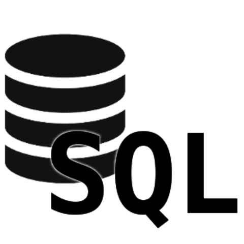 Auge en la Comercialización de los Sistemas Relacionales