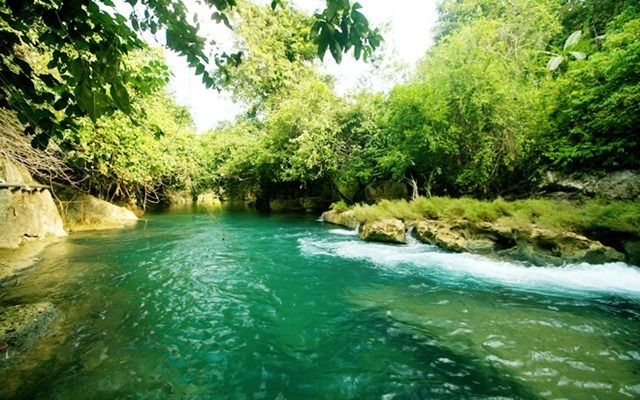 Carlos Salinas de Gortari