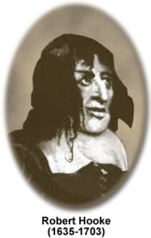 Robert Hooke was heavily involved with the design of microscopes.