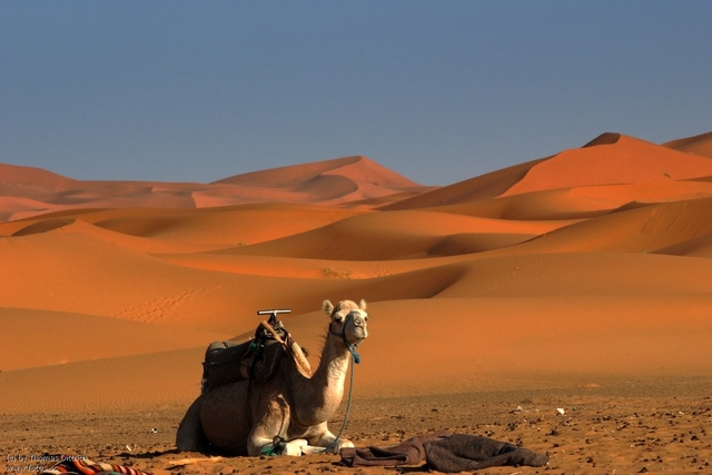 Periodo Predinastico