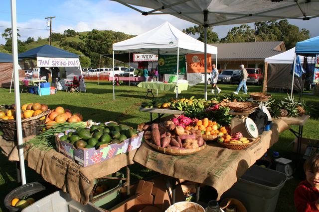 Alternative farming techniques advert impending water crisis